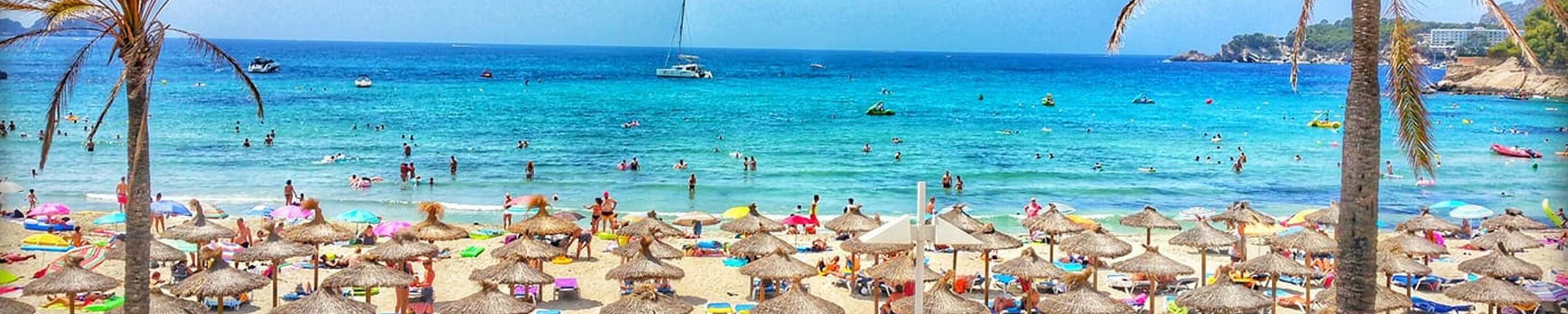 Mallorca News & Fotos