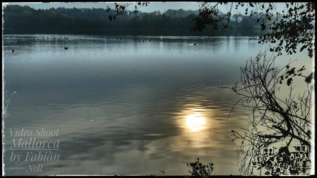 Blick auf den Behler See bei Plön - Morgendämmerung - Enten
