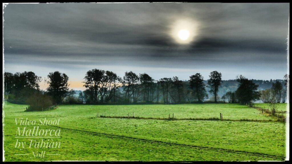grüne Koppel Landschaft in Schleswig-Holstein bei Plön.