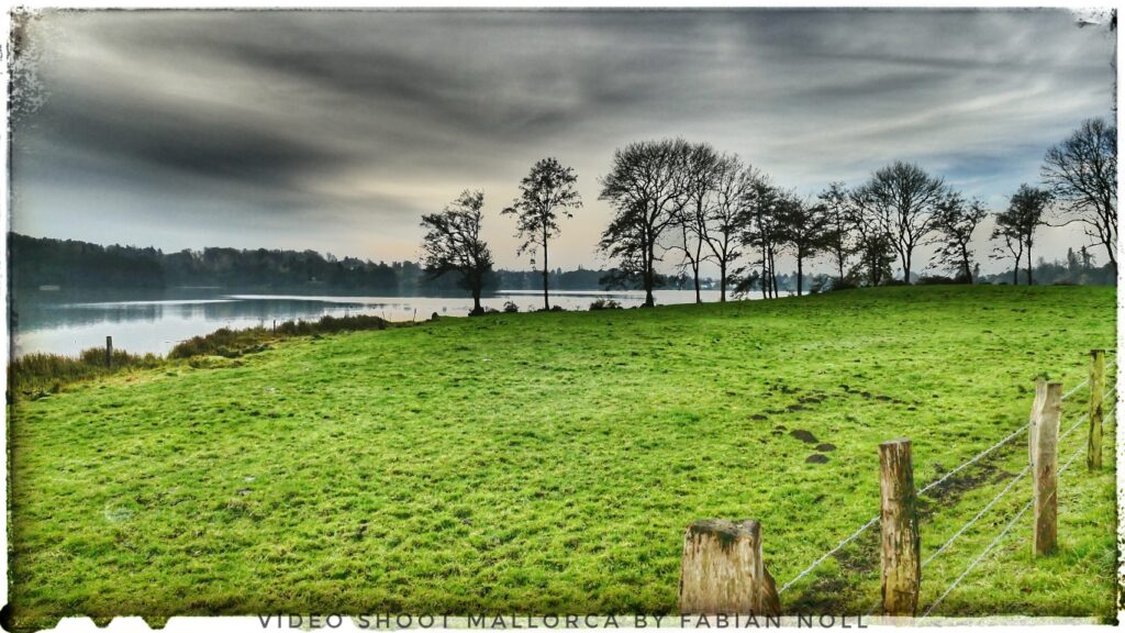 grüne Koppel Landschaft in Schleswig-Holstein bei Plön 2